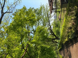 blog